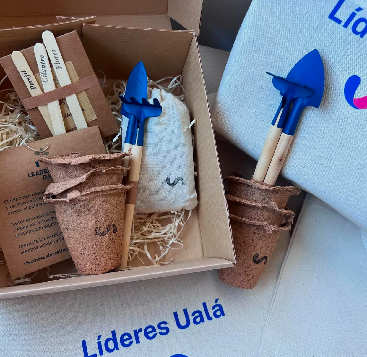 Kit de Siembra FLORECER, foto 5 de 5