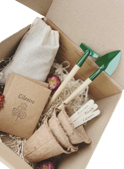 Kit de Siembra FLORECER, foto 1 de 5
