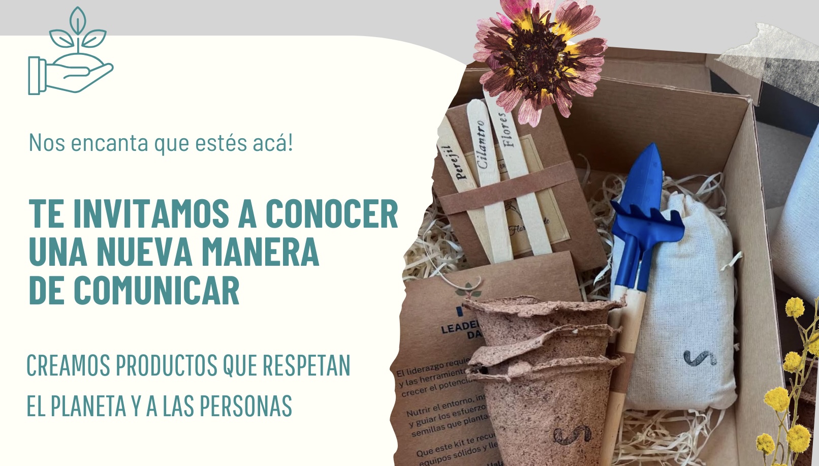 Banner de tienda