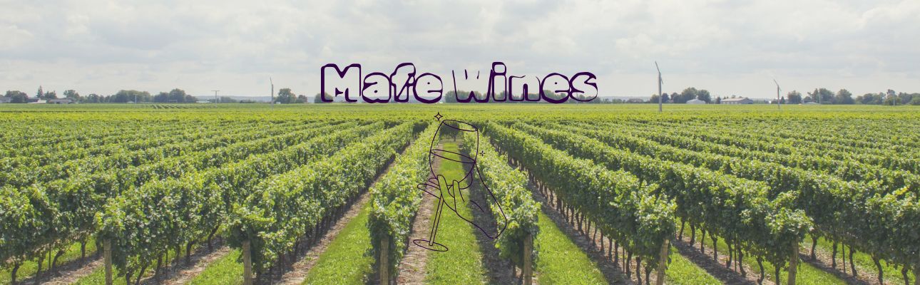 Banner de tienda